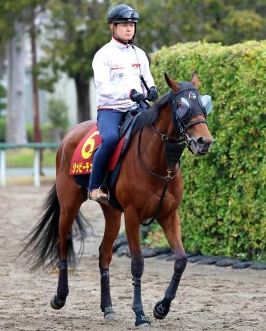 【G1トク捜リレー】メンタル面優先であえて“美浦残留”決めたジッピーチューン　林調教師は「残って正解」と手応え　桜花賞