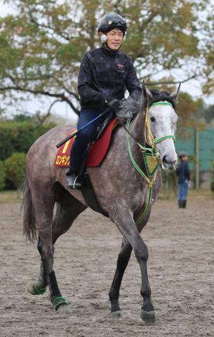 【桜花賞】4戦すべて逃げ&3着以内「どこまで踏ん張れるか」と竹内調教師が話すロンギングセリーヌ　再び波乱起こす　