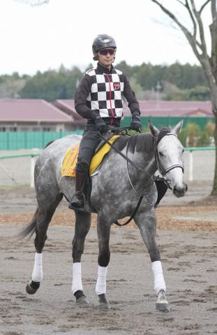 【阪神牝馬S】カピリナ　1週前に猛時計　実川助手「その後も問題なく来てる」