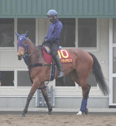 【桜花賞】ディアダイヤモンド　中3週疲れなし　手塚久師「前走ぐらい走れれば十分にやれる」