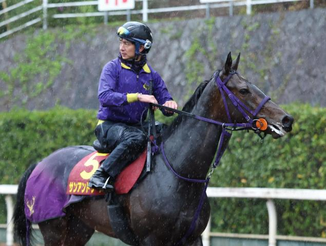 【桜花賞】サンアントワーヌ　マイル許容範囲　水出助手「乗った感じも問題ない」