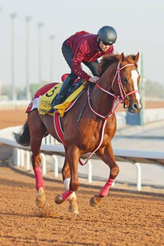 【注目馬動向】シンエンペラーは香港G1を辞退し米国遠征へ　矢作調教師「左回りだし、相手関係も考えました」