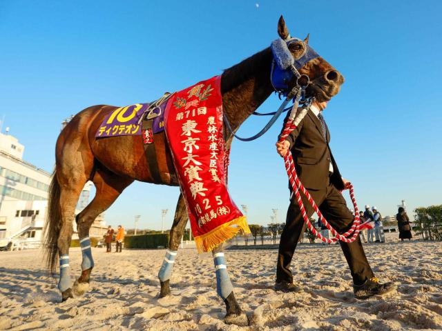 【川崎記念注目馬】1着賞金1億円の大一番 地方年度代表馬ディクテオンなど好メンバー集結