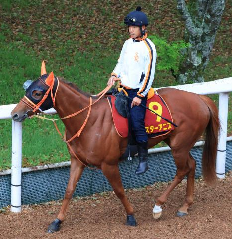 【桜花賞】スターアニスが坂路で圧巻の動き　高野調教師「エネルギーがパンパンの状態で桜花賞へ」 　