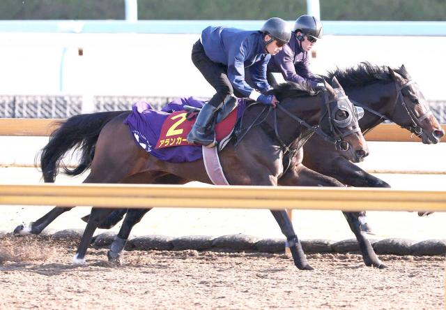 【桜花賞】アランカールは鋭く併入　鞍上の武豊騎手は勝てば22年ぶり&最多更新6勝目　「久しぶりに桜花賞を勝ちたい」