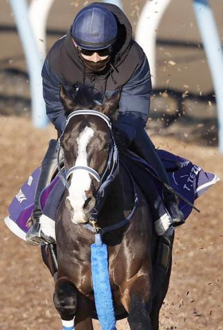 【香港チャンピオンズデー】マスカレードボール、サトノレーヴ、ジャンタルマンタルなど日本馬7頭が選出
