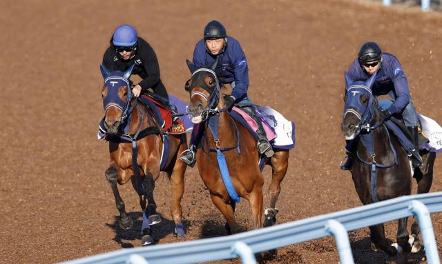 【桜花賞】ディアダイヤモンドとコンビの戸崎圭太騎手が初コンタクト「すごい乗りやすい」3歳牝馬離れしたメンタル