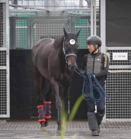 金鯱賞4着ジューンテイクはモレイラとの新コンビで香港QE2へ