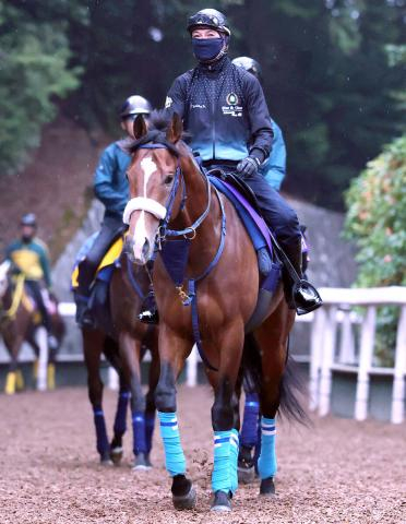 【皐月賞・1週前】朝日杯FS勝ち馬カヴァレリッツォは吉岡厩舎流で調整　坂路で柔軟性にあふれる脚運び