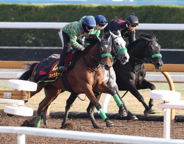 【桜花賞】ギャラボーグ　CW軽めも内容良し　ラスト1F11秒2を杉山晴師評価