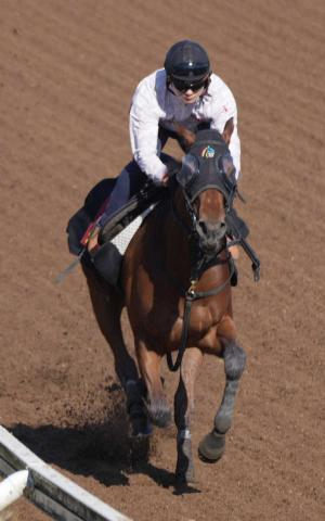 【桜花賞】ジッピーチューン　メンタル重視の調教　4F56秒3に林師「とてもいい状態」