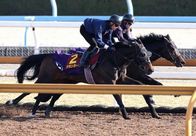 【桜花賞】アランカール　しっかり体を使って併入　武豊「先週は僕も咲かなかったので満開にしたい」