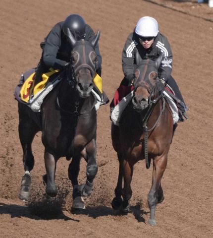【桜花賞】ショウナンカリス　巻き返し手応え十分4F51秒8　加藤士師「一戦ごとに体がたくましく」