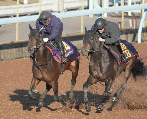 【皐月賞1週前追い】パントルナイーフ　気合いのラスト1F11秒6　久々実戦も「順調」