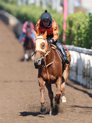 【桜花賞】2歳女王直行ローテは近年4頭全て連対　不安要素は…