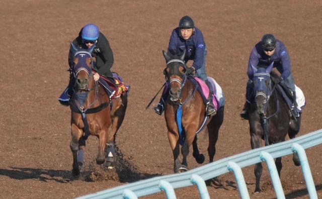 【桜花賞】ディアダイヤモンド反動なし　中3週も3頭併せ馬なりラスト鋭く11秒5「前走時と同じくらい」