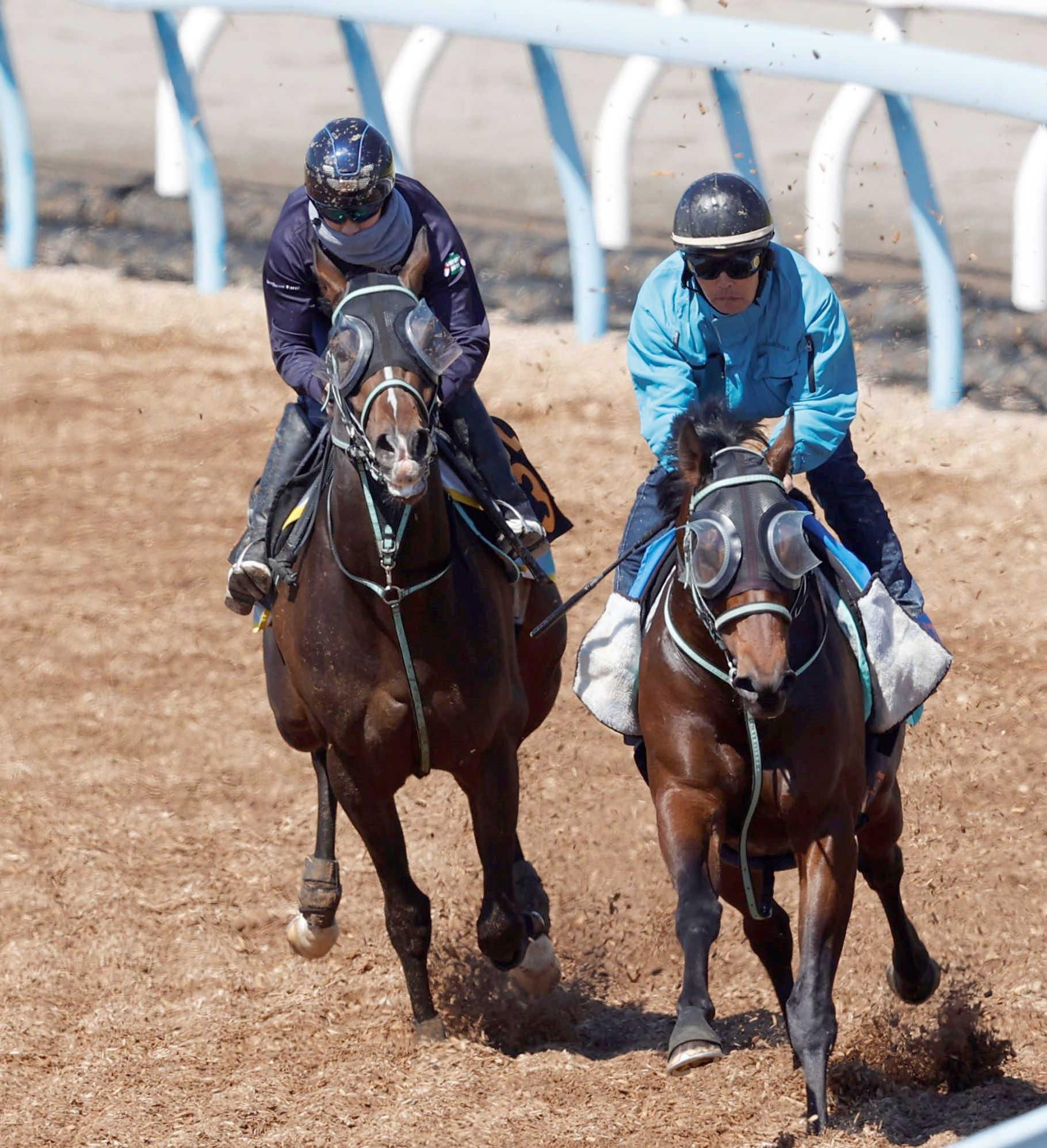 【ニュージーランドＴ】ゴーラッキー　重賞馬に先着　黒岩師「調整は全てうまくいった」