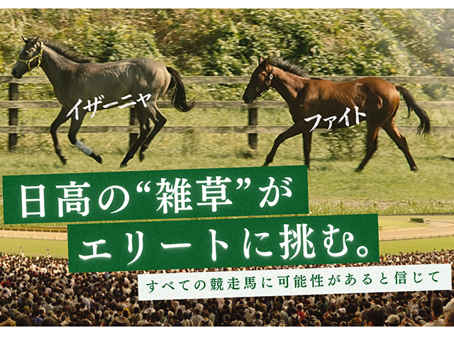 『ザ・ロイヤルファミリー』出演の2歳馬をデビューさせたい 夢の挑戦を応援するクラウドファンディングを募集中