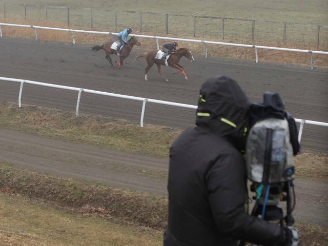 北海道市場トレーニングセール上場予定馬の調教VTR撮影を実施 せりは札幌競馬場で5月19日開催