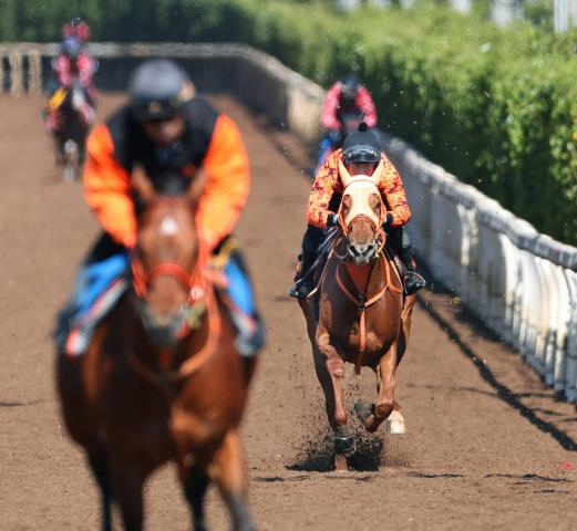 【桜花賞】2歳女王スターアニスは7枠15番に決定　08年以来勝ち星なしも高野調教師「与えられた枠でジョッキーに任せます」