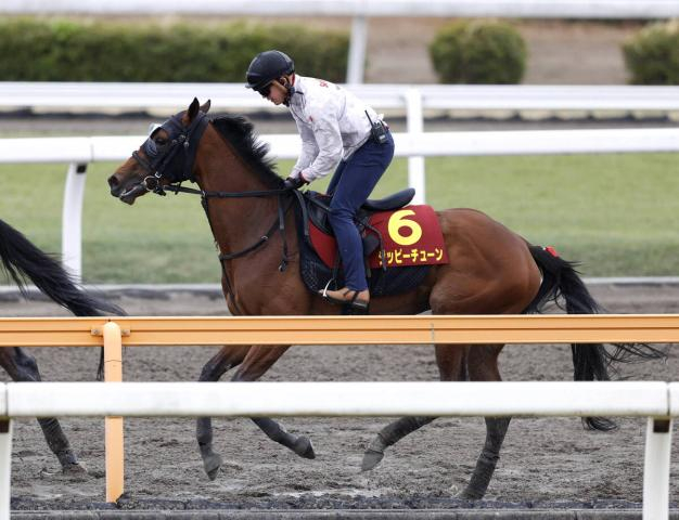 【桜花賞】45年ぶり勝利へ!6枠11番に入ったジッピーチューン　林調教師「状態は間違いなく今までで一番いい」