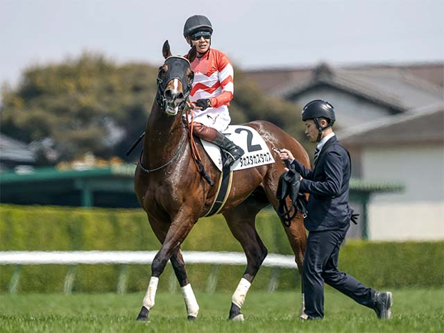 馬主は高須クリニックの高須克彌氏 タカスタカスタカスが今度こそ2勝目なるか