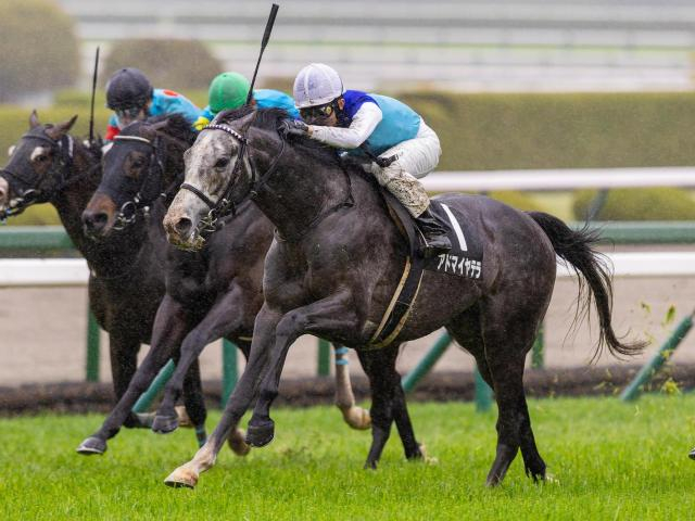 ドイツにも“阪神カップ”がある!? 「大阪―ハンブルクカップ」の由来を探ってみると