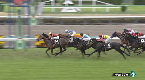 【美浦S】ジュタ＆横山武史騎手がｷﾀ━━━━(ﾟ∀ﾟ)━━━━!!