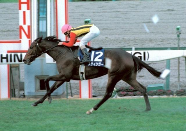 【桜花賞】99年スティンガー　時代に先んじた藤沢和師の“信念”