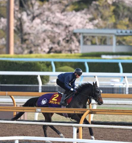 【桜花賞】アランカール　“吉兆枠”4枠7番に決定　武豊「今週は満開に。久しぶりに桜花賞を勝ちたい」