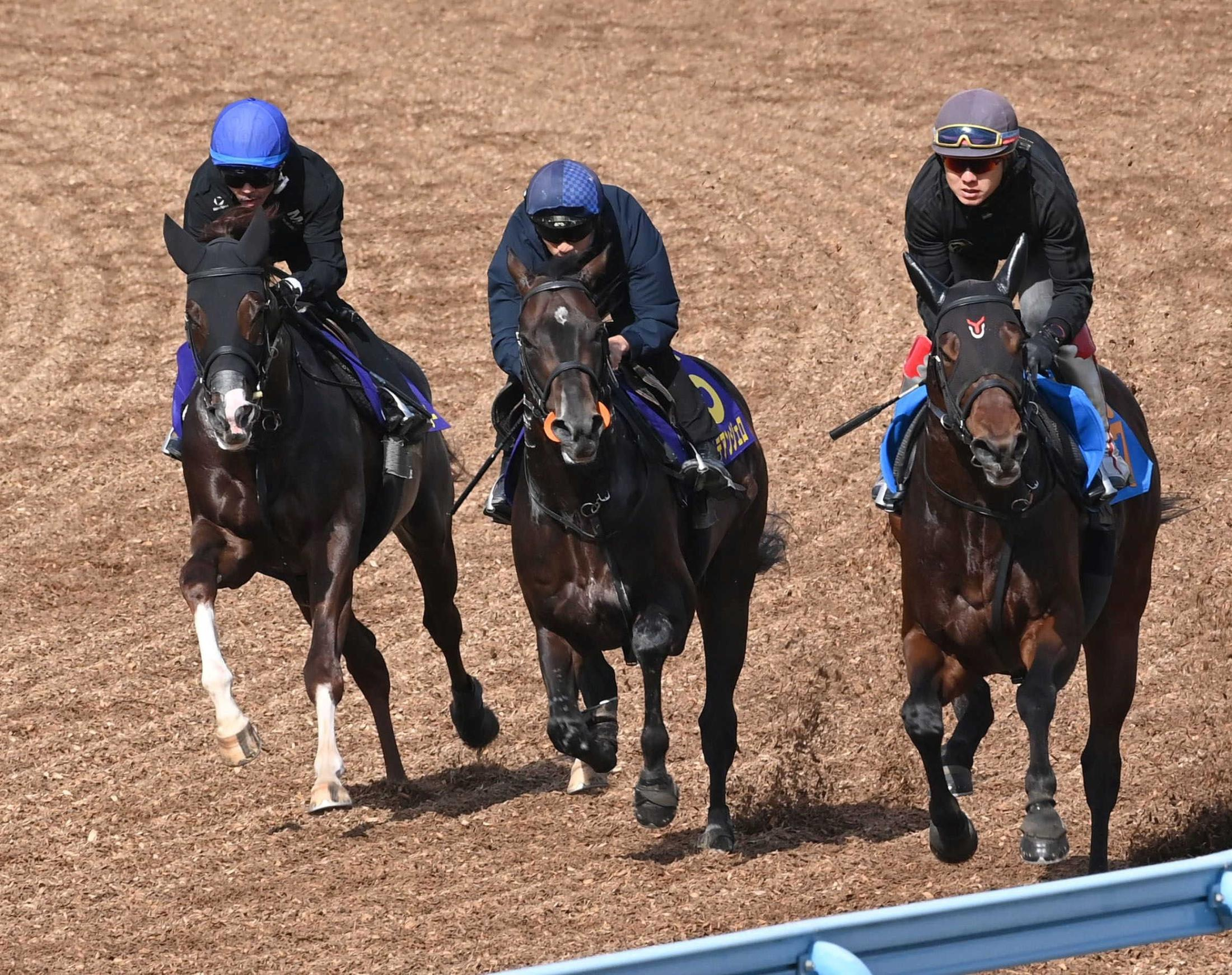 【皐月賞】グリーンエナジー　動き抜群！上原佑師も絶賛「言うことない」　前走以来のコンタクトの戸崎圭も納得「いい方に成長」