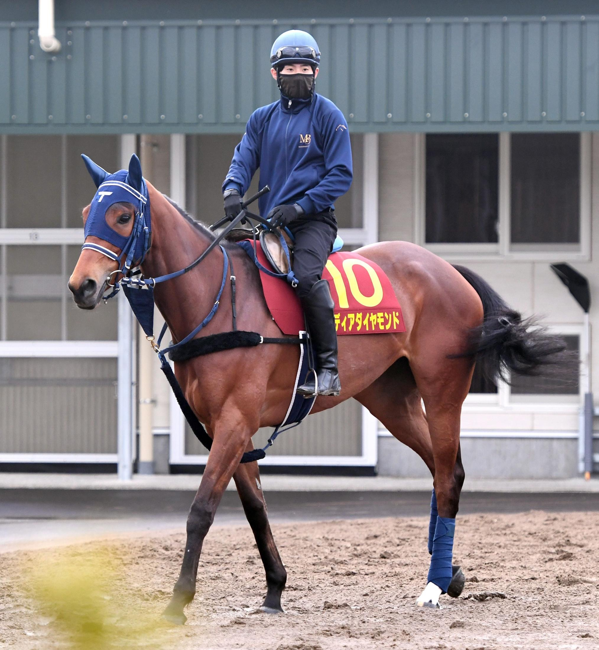 【桜花賞】ディアダイヤモンド　平塚助手は順調ぶり強調　２枠３番内めも問題なし「スタート、立ち回りがうまい。枠は気にしない」