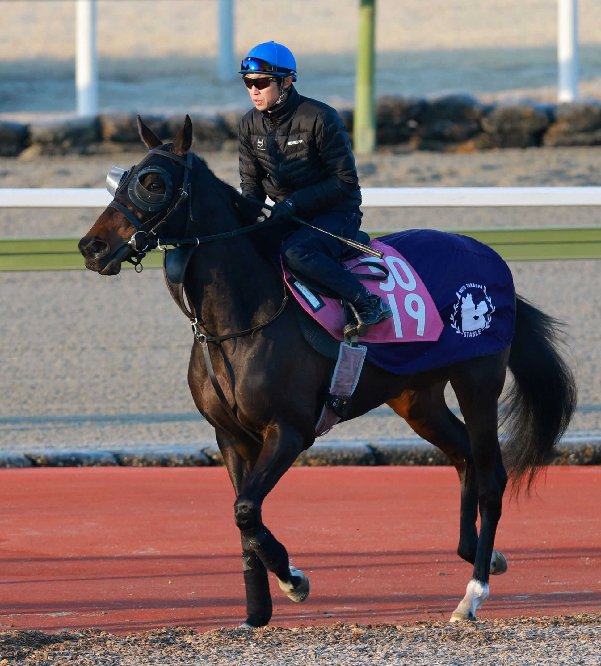 【桜花賞】アランカール　２週連続Ｇ１勝利は名手にお任せ　斉藤崇師「武さんがうまく乗ってくれると思う」　枠順は４枠７番！先入れ奇数枠も「おとなしいから大丈夫」