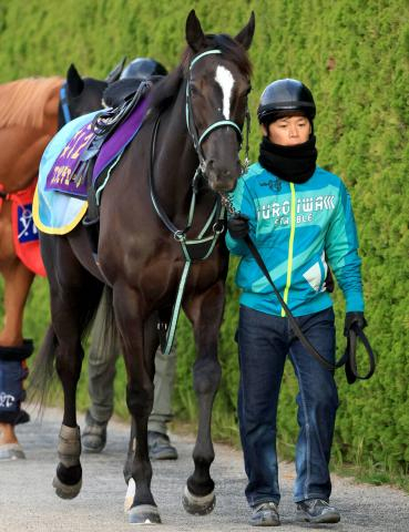 【阪神牝馬S】成長したアスコリピチェーノが始動戦を飾る　陣営「ヴィクトリアマイル連覇が目標」