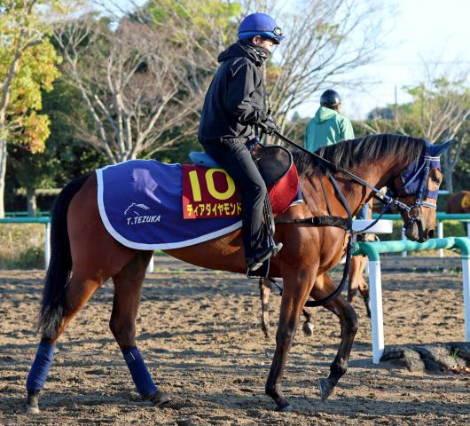 【桜花賞】ディアダイヤモンドが決戦の地へ出発　手塚久調教師「状態はいいと思うので楽しめると思います」