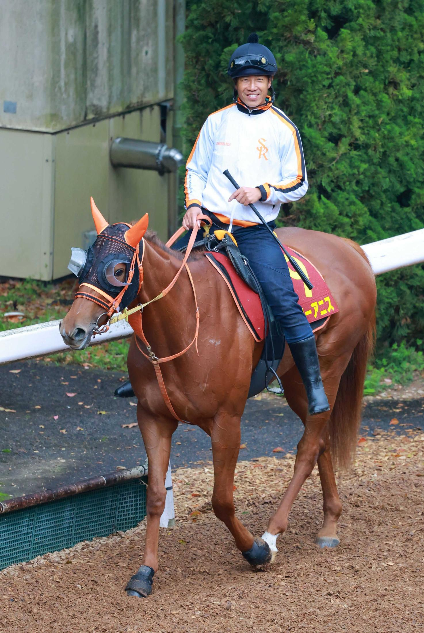 【桜花賞】スターアニス　絶好の仕上がり　高野師「またがった瞬間の感覚がさらに良くなっていた」