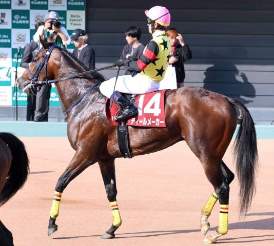 【ニュージーランドT】騎乗停止明け戸崎圭太騎手のディールメーカーは4着　「馬場に脚を取られてバランスを...」