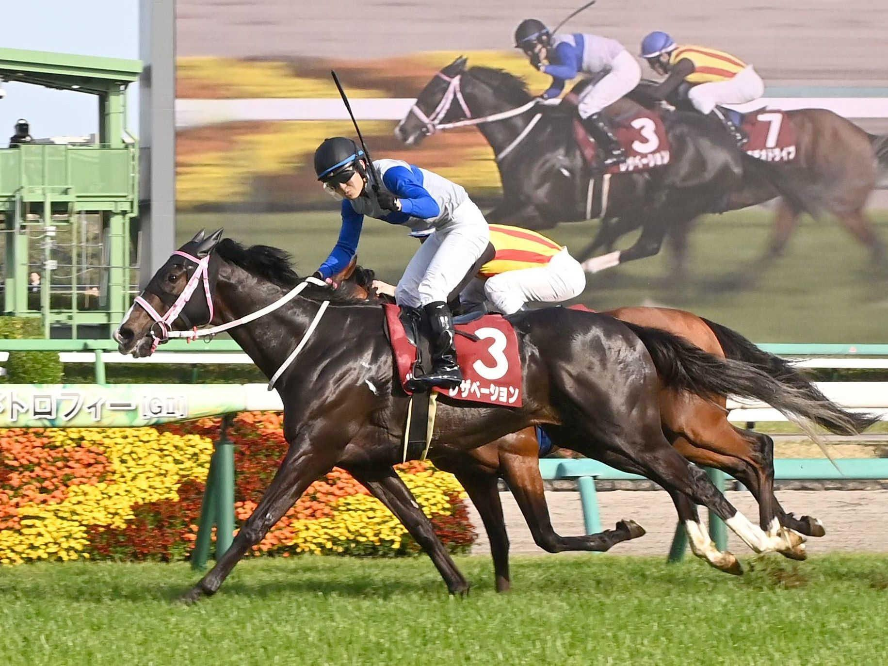 【ニュージーランドＴ】レザベーション　うれしい重賞初Ｖ　しぶとい粘りに原「