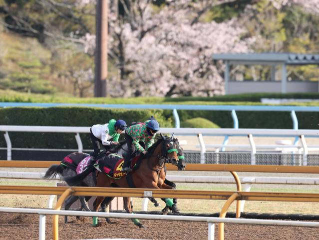【桜花賞】馬トク外厩情報…阪神ジュベナイルフィリーズ組の強さ証明　春の結果が示す“世代上位の1頭”