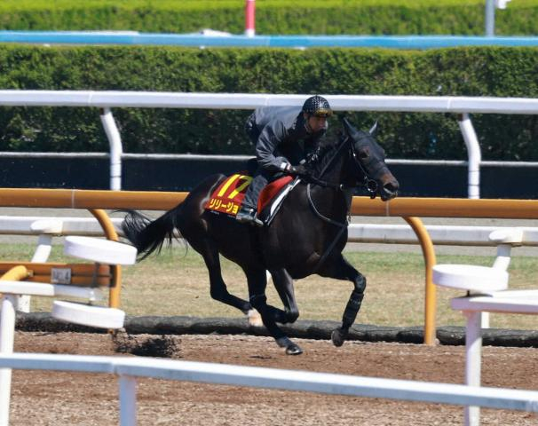 【桜花賞】発走直前に暴れ…3番人気リリージョワ11着　浜中「参考外です」