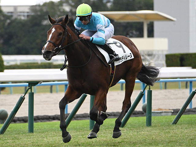 【福島牝馬S】パラディレーヌ、レーゼドラマなどが登録