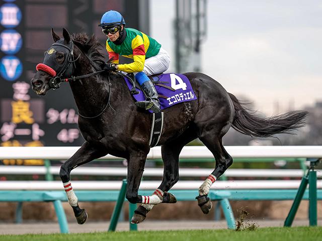 【中山GJ】エコロデュエル、ネビーイームなどが登録