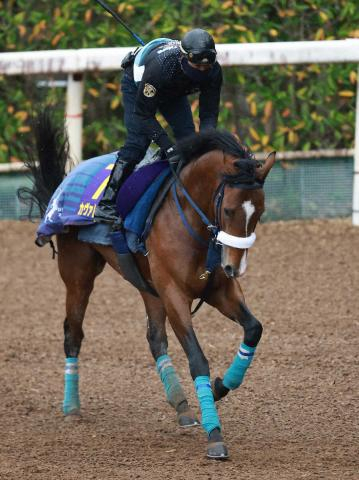 【皐月賞展望】朝日杯FS王者カヴァレリッツォが1冠奪取へ