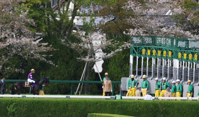 【桜花賞】リリージョワ11着　発走前アクシデントに浜中「今日の結果は参考外かな」