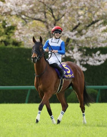 【桜花賞】ギャラボーグ2着　直線しぶとく伸びた　杉山晴師は反省「もっといい状態で臨まなければ…」