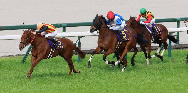 【桜花賞】2歳女王スターアニス圧巻1冠!“桜の花道”も通過点　歴代2位の勝ち時計1分31秒5