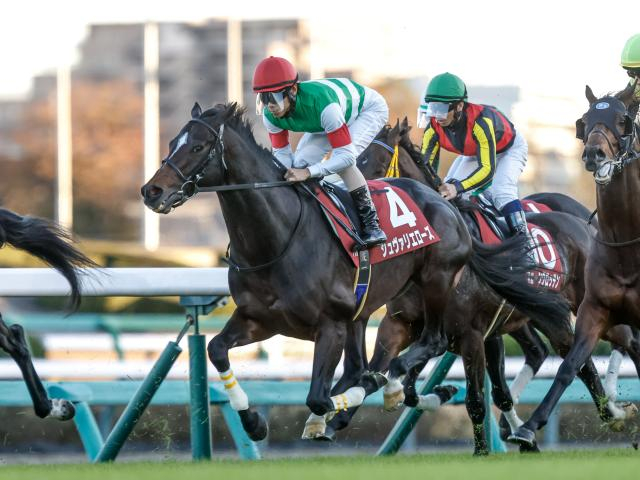 【先週のJRA抹消馬】重賞2勝を挙げたシュヴァリエローズ、一昨年のチューリップ賞を制したスウィープフィートなど