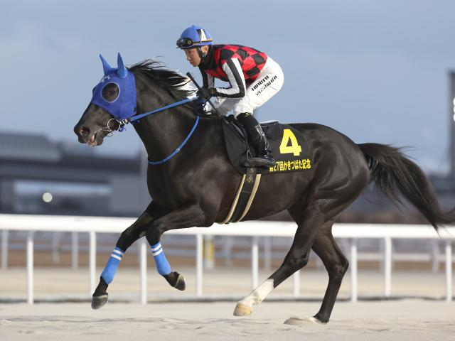 【大井・ブリリアントC枠順】横山武史騎手が騎乗するサントノーレは5枠9番 春の中距離SIII重賞