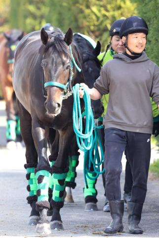 【皐月賞】今度は父へクラシックタイトルを　ホープフルS覇者ロブチェンが桜花賞V松山弘平騎手と巻き返す