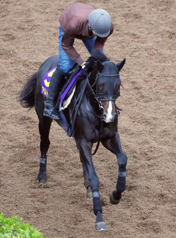 【皐月賞】毎日杯Vのアルトラムスは中2週も落ち着き十分　14年覇者で父のイスラボニータに続く